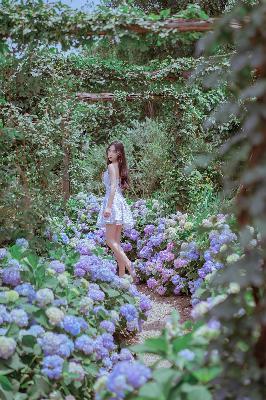 乔梁叶心仪超前更新